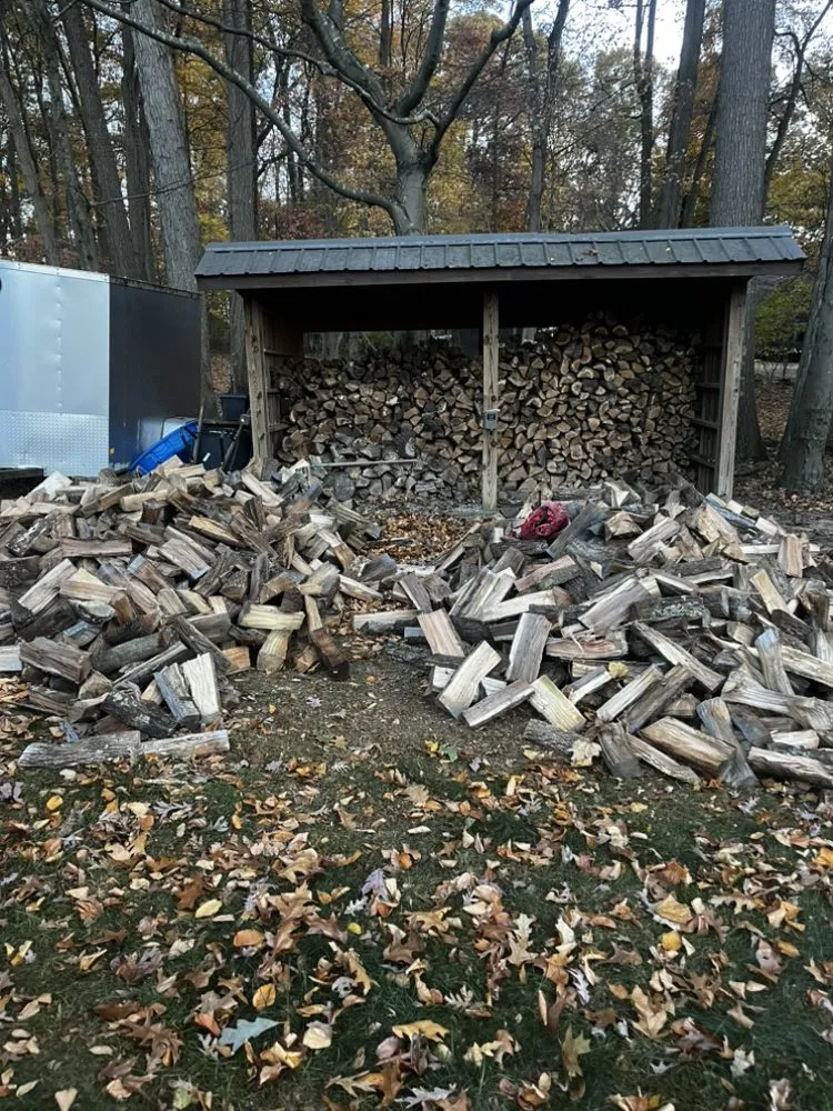 Custom yard cleanup service in Colora, MD by Superior Firewood