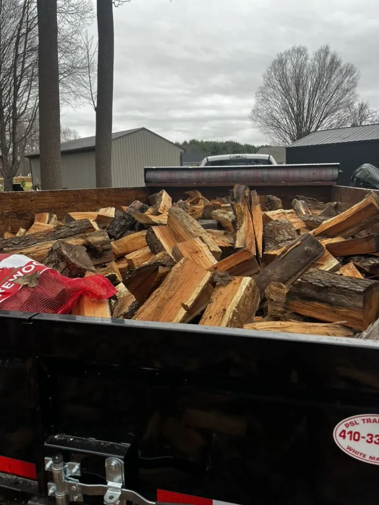 Trusted yard cleanup service for beautiful yards across Colora, MD - Superior Firewood