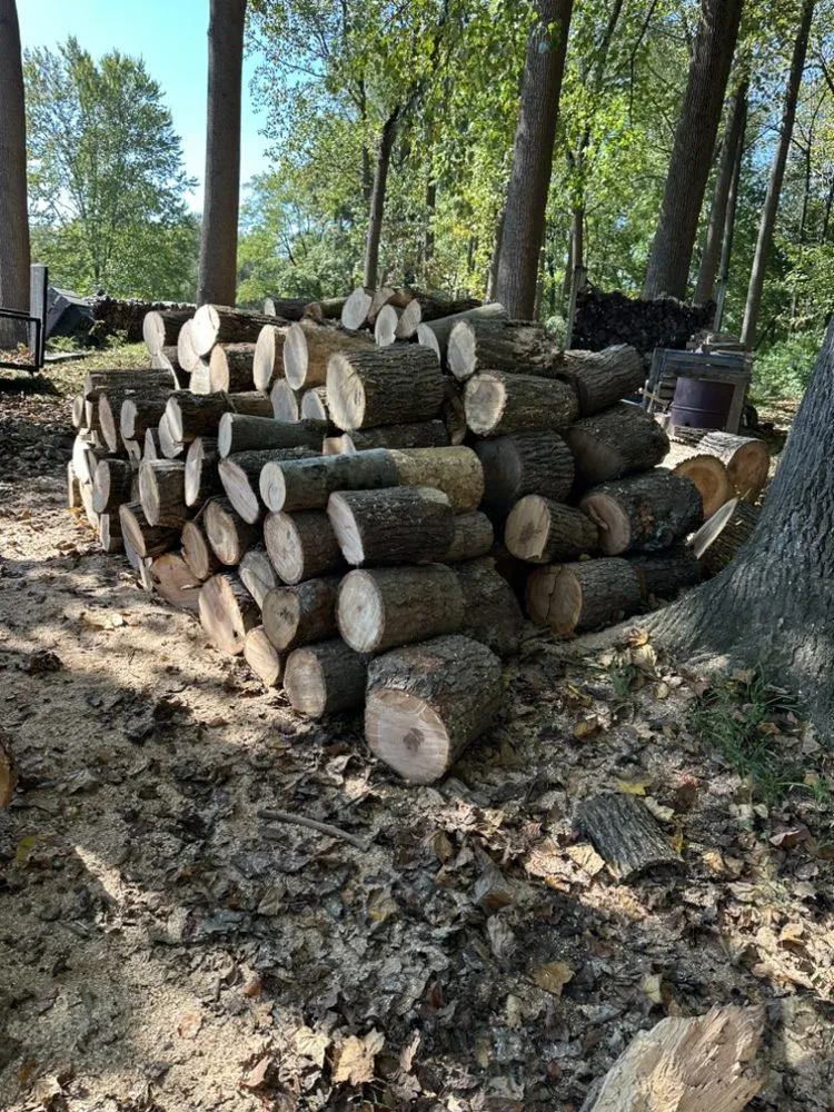 Trusted yard cleanup service experts serving Colora, MD - Superior Firewood