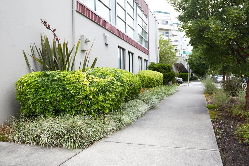 Expert garden landscaping in Seattle, WA - Superior Gardening Service