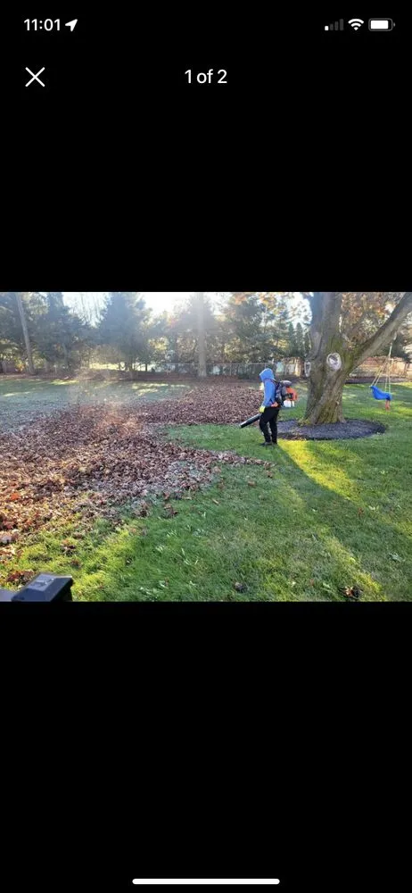 Affordable yard maintenance for outdoor upgrades in Coram, NY by Superior Gardens