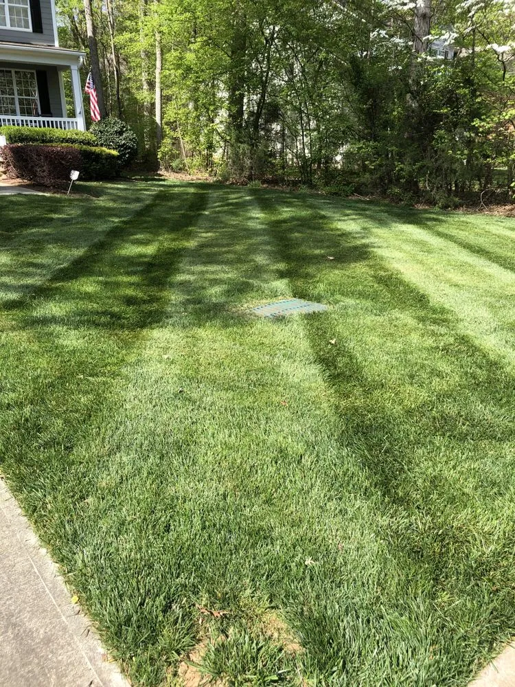 Reliable outdoor landscaping experts serving Efland, NC - Superior Green