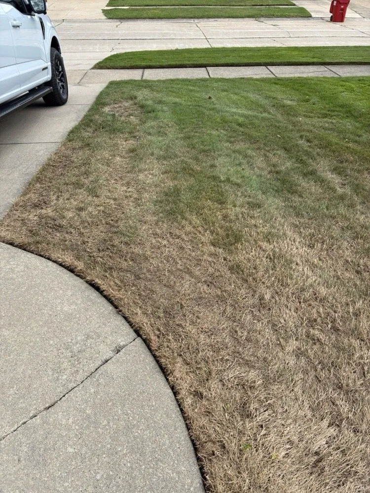 Expert garden landscaping for beautiful yards across Saint Clair Shores, MI - Superior Green Lawn Care