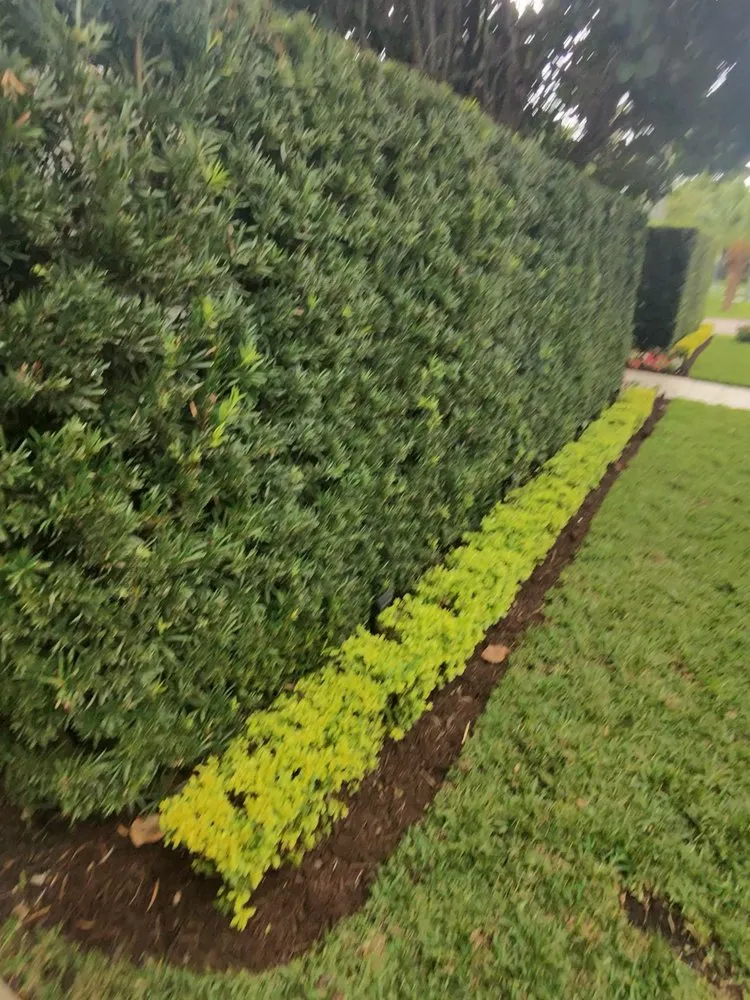 Top-rated outdoor landscaping in Boynton Beach, FL - Superior Green Lawn Maintenance