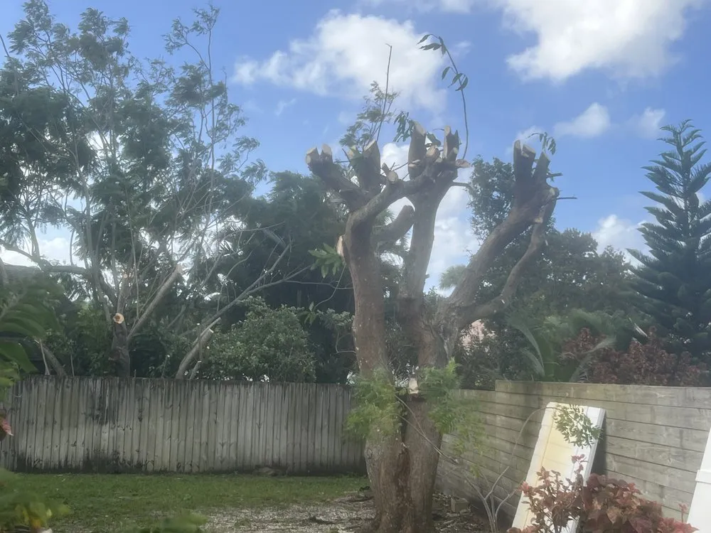 Custom landscaping services in Boynton Beach, FL by Superior Green Lawn Maintenance