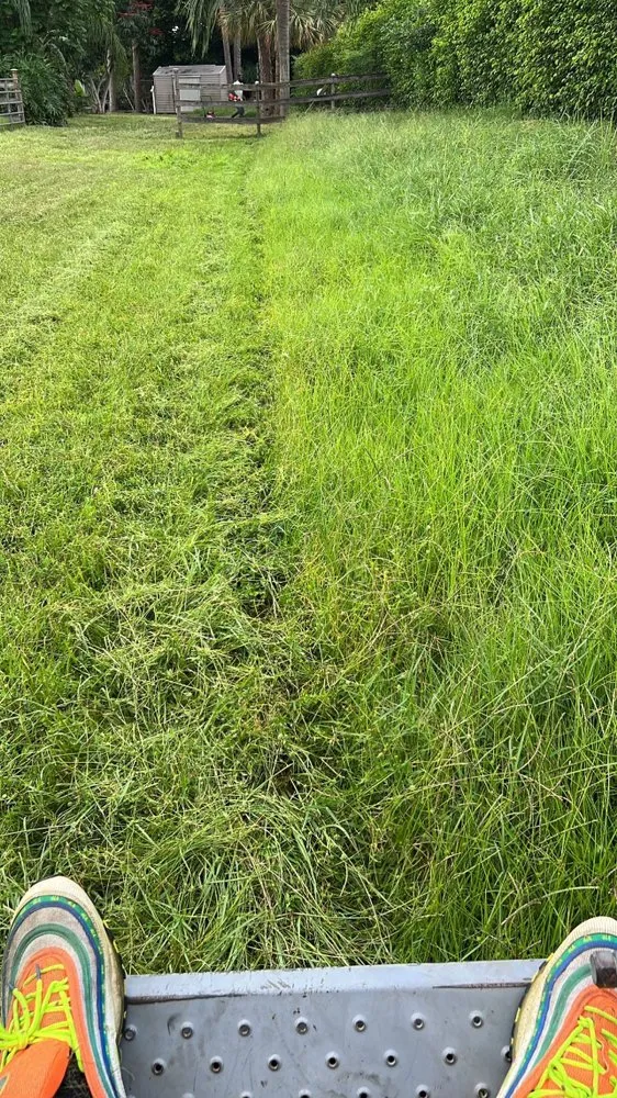 Expert landscape installation for beautiful yards in Boynton Beach, FL by Superior Green Lawn Maintenance