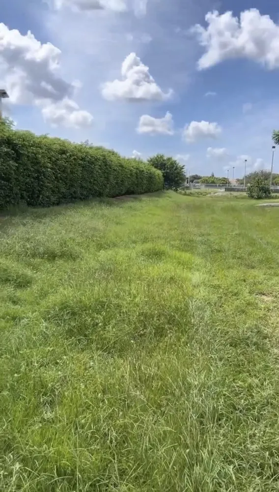 Custom yard cleanup service in Boynton Beach, FL by Superior Green Lawn Maintenance