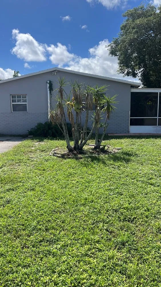 Custom landscaping services in Boynton Beach, FL - Superior Green Lawn Maintenance