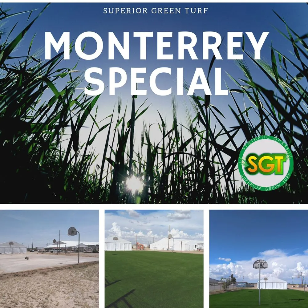 Top-rated yard maintenance in El Paso, TX - Superior Green Turf
