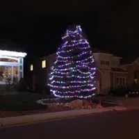 Top-rated yard cleanup service for residential properties across Littleton, CO - Superior Grounds Lawn Care