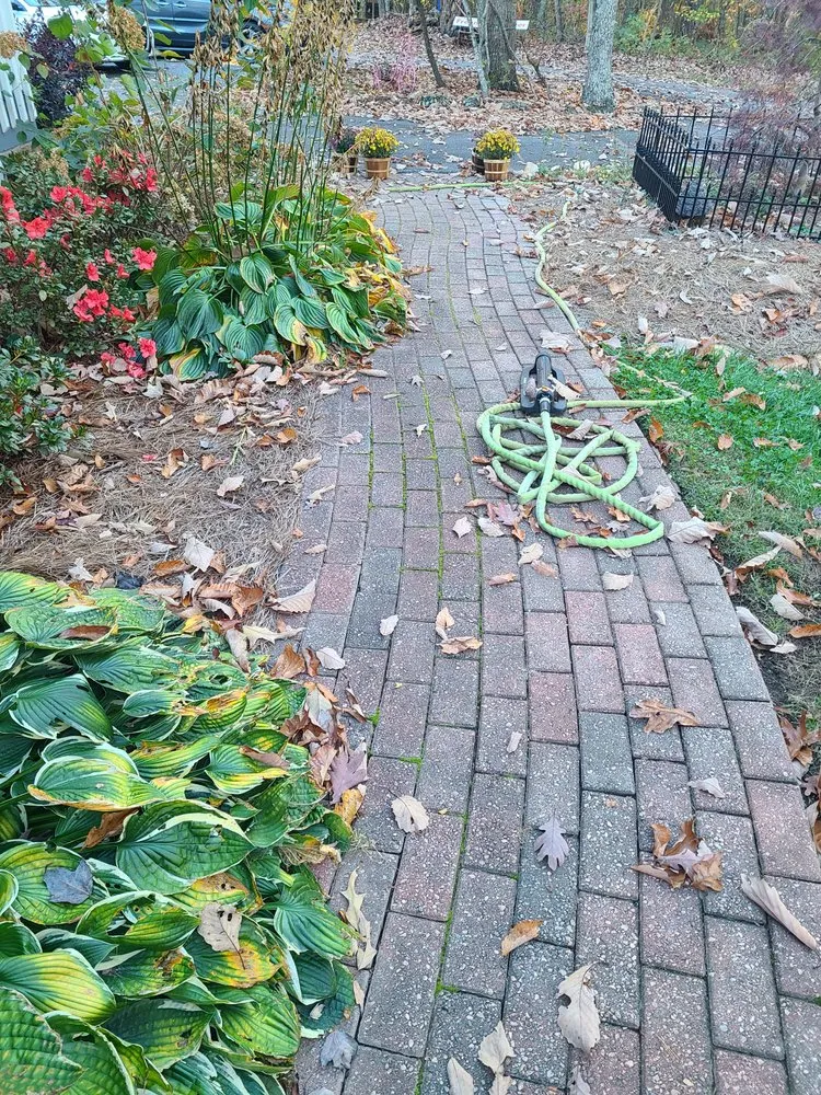 Trusted lawn care service for outdoor upgrades in Cleveland, GA by Superior Home and Yard services