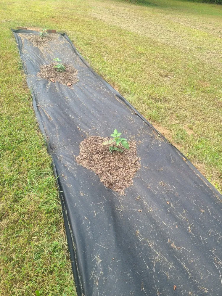 Reliable lawn care service in Cleveland, GA by Superior Home and Yard services