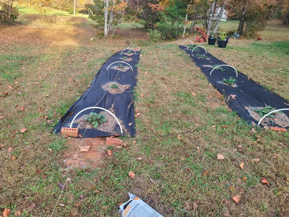 Top-rated outdoor landscaping for residential properties in Cleveland, GA by Superior Home and Yard services