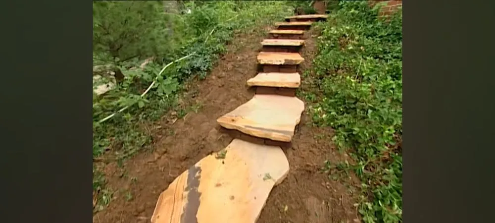 Top-rated yard maintenance in Cleveland, GA - Superior Home and Yard services