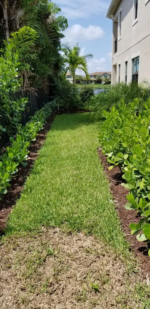 Custom landscape design for beautiful yards across Naples, FL - Superior Home Care of FL