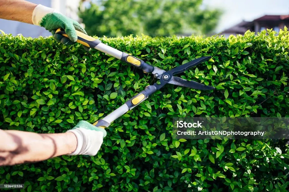Professional yard cleanup service experts serving Oak Hill, FL - Superior Home Improvement & Landscaping