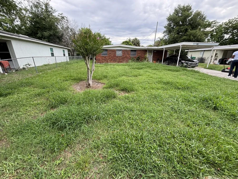 Trusted residential landscaping in Orlando, FL - Superior Hortus Landscaping