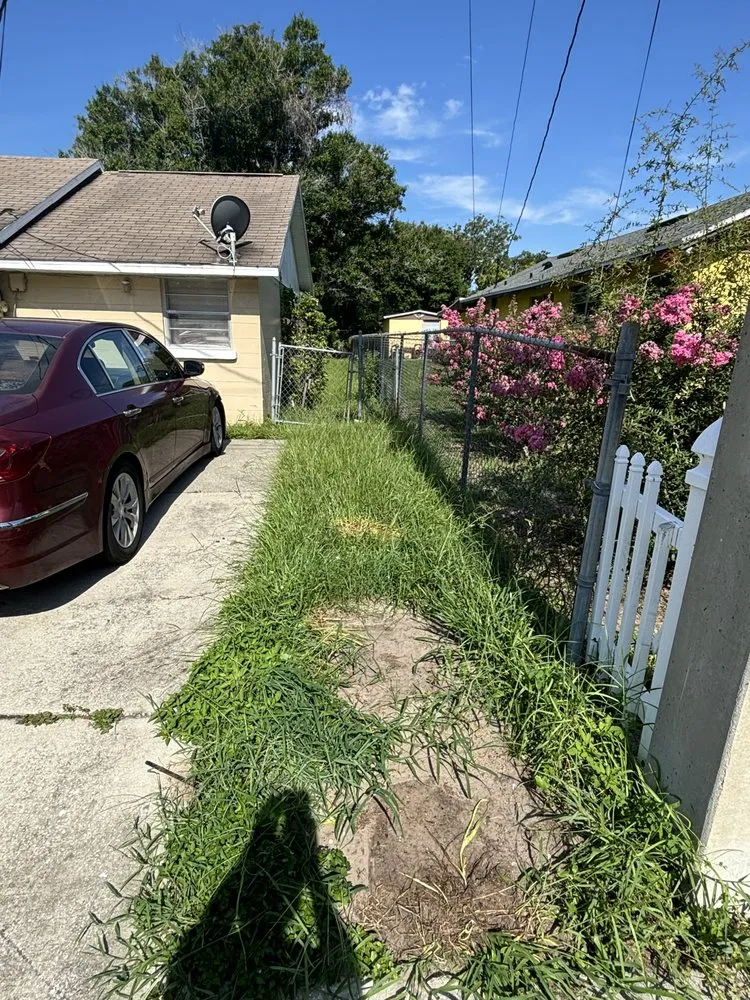 Top-rated outdoor landscaping in Orlando, FL by Superior Hortus Landscaping