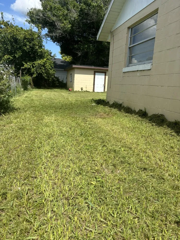 Local yard cleanup service experts serving Orlando, FL - Superior Hortus Landscaping