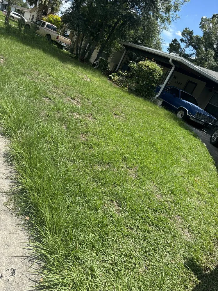 Affordable residential landscaping in Orlando, FL by Superior Hortus Landscaping