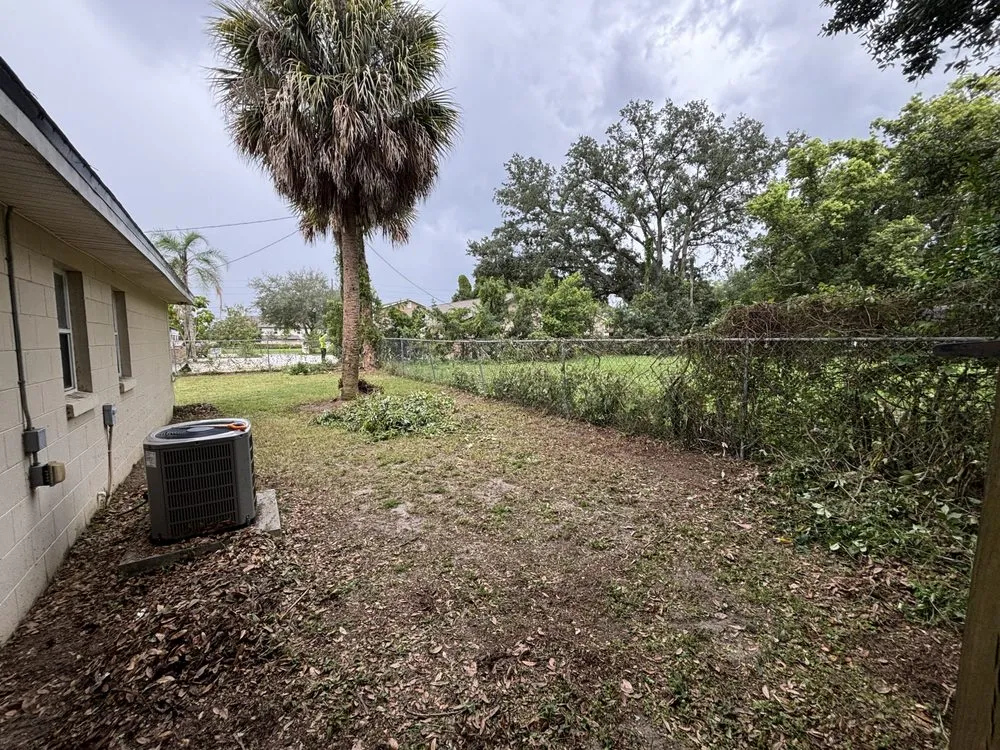 Professional landscape design in Orlando, FL by Superior Hortus Landscaping