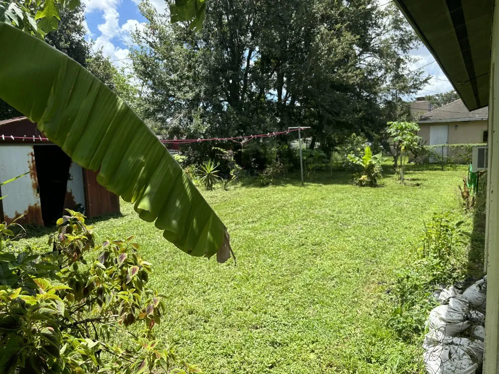 Local yard maintenance for outdoor upgrades across Orlando, FL - Superior Hortus Landscaping