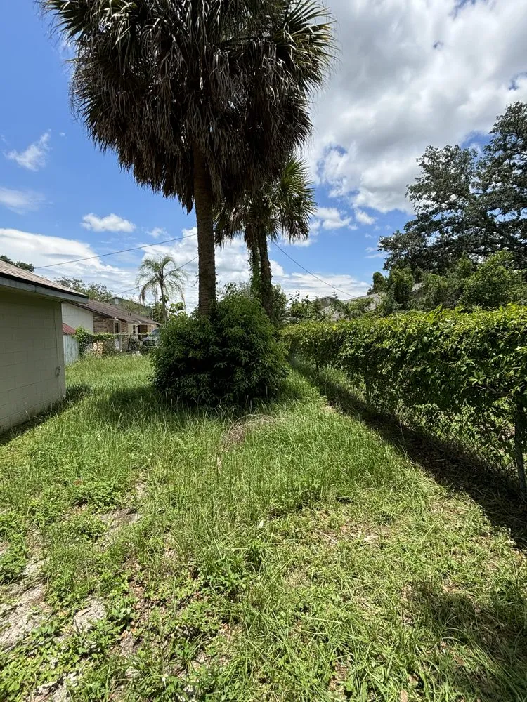 Trusted outdoor landscaping for beautiful yards across Orlando, FL - Superior Hortus Landscaping