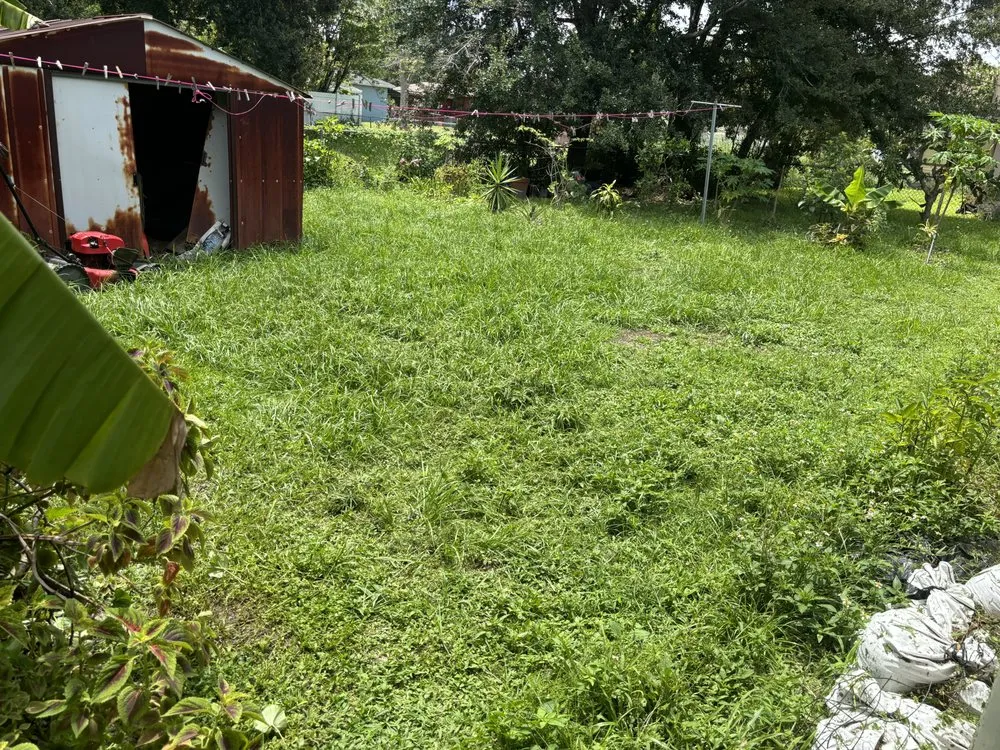 Reliable landscaping services experts serving Orlando, FL - Superior Hortus Landscaping