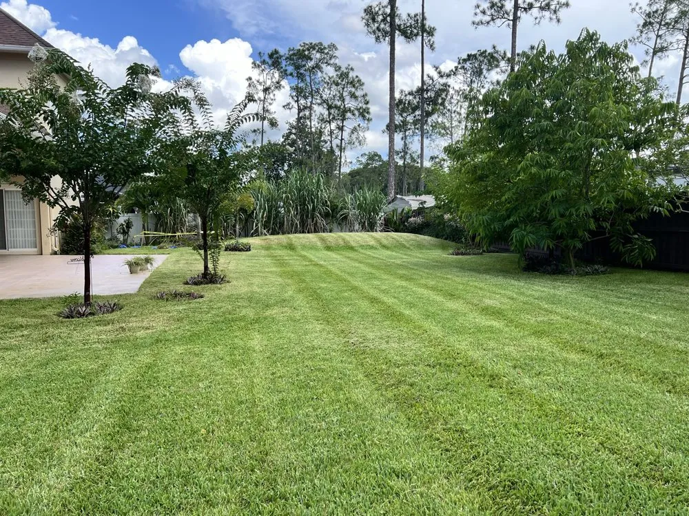 Expert landscape design in Orlando, FL - Superior Image Lawn Care & Maintenance