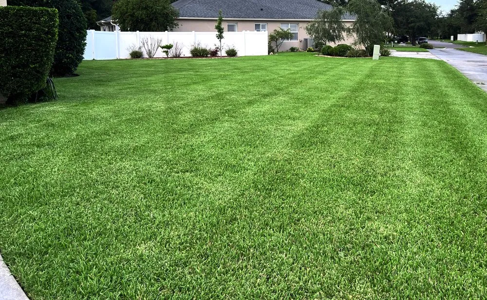 Top-rated garden landscaping experts serving Orlando, FL - Superior Image Lawn Care & Maintenance