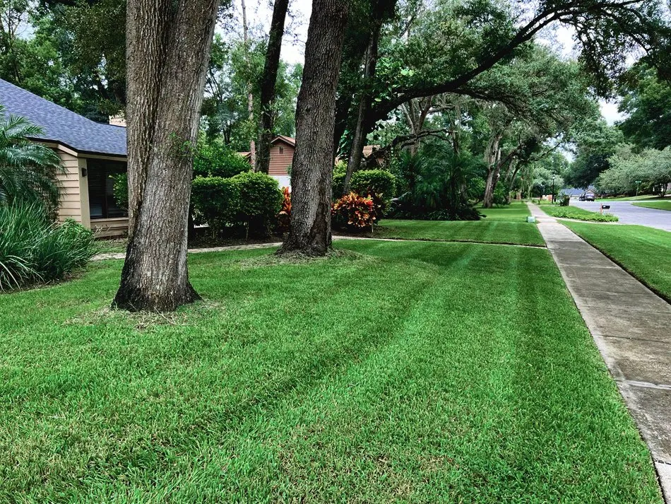 Trusted landscaping services for outdoor upgrades in Orlando, FL by Superior Image Lawn Care & Maintenance