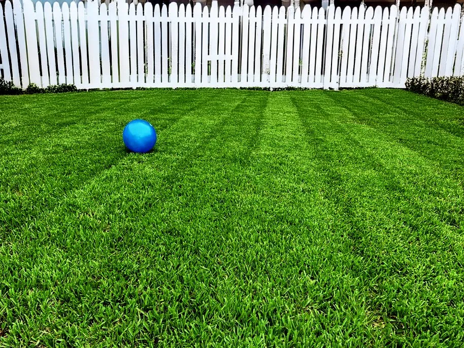 Professional garden landscaping for homes across Orlando, FL - Superior Image Lawn Care & Maintenance