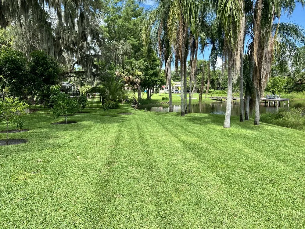 Affordable yard maintenance experts serving Orlando, FL - Superior Image Lawn Care & Maintenance
