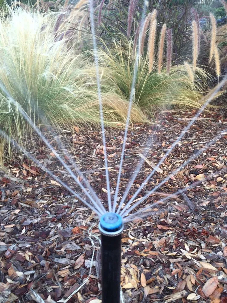 Top-rated lawn care service in Poway, CA by Superior Irrigation & Landscaping Company