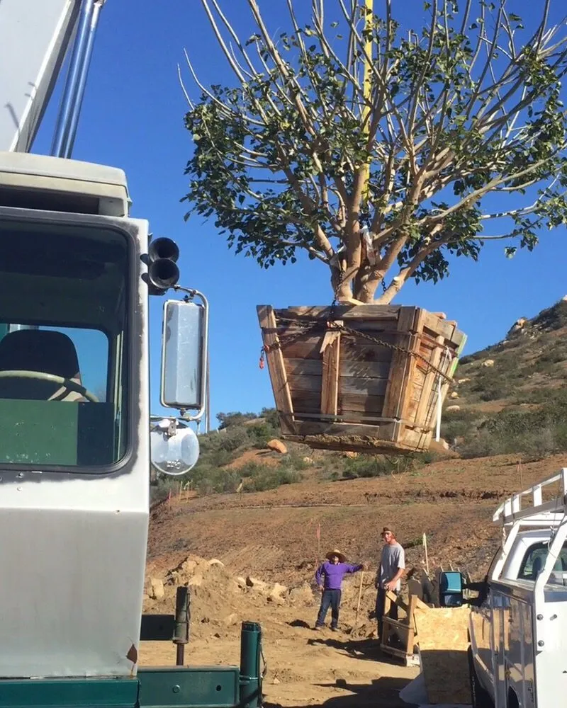 Top-rated yard maintenance experts serving Poway, CA - Superior Irrigation & Landscaping Company