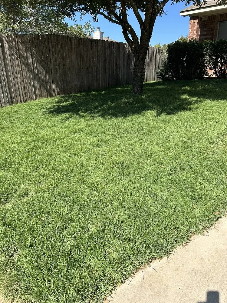 Top-rated residential landscaping in San Antonio, TX - Superior Irrigation & Lawn