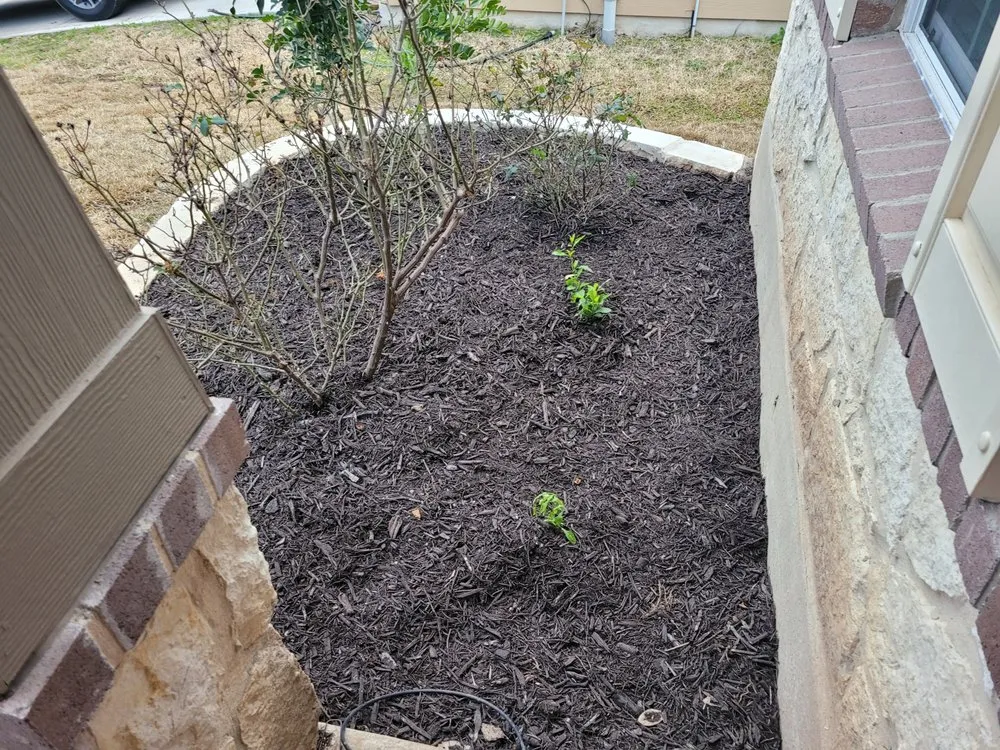 Trusted yard maintenance experts serving San Antonio, TX - Superior Irrigation & Lawn