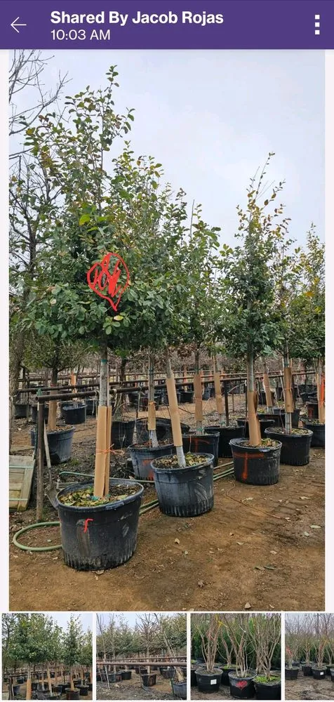 Custom lawn mowing service for homes in San Antonio, TX by Superior Irrigation & Lawn