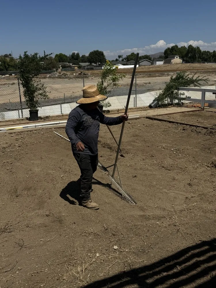Top-rated yard cleanup service experts serving Jurupa Valley, CA - Superior Irrigation Maintenance