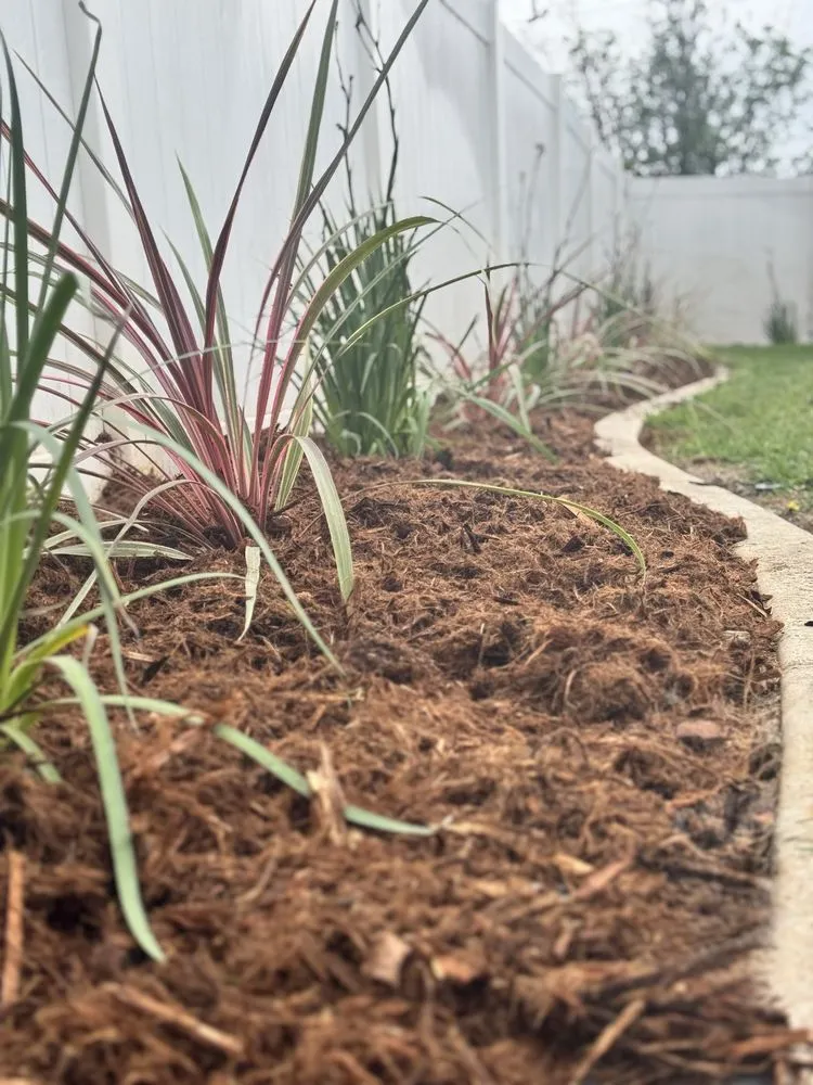 Top-rated yard cleanup service in Jurupa Valley, CA - Superior Irrigation Maintenance