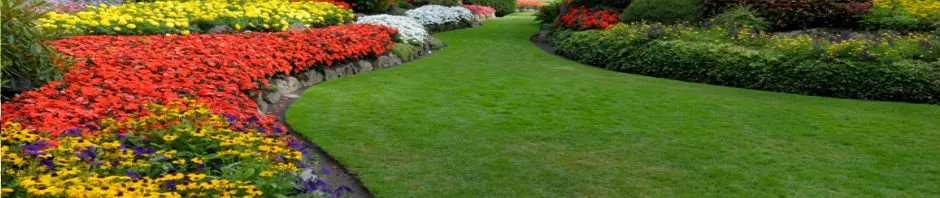 Local landscaping services for residential properties across Keller, TX - Superior Landcare