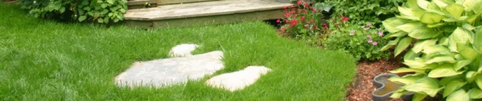 Local garden landscaping in Keller, TX - Superior Landcare