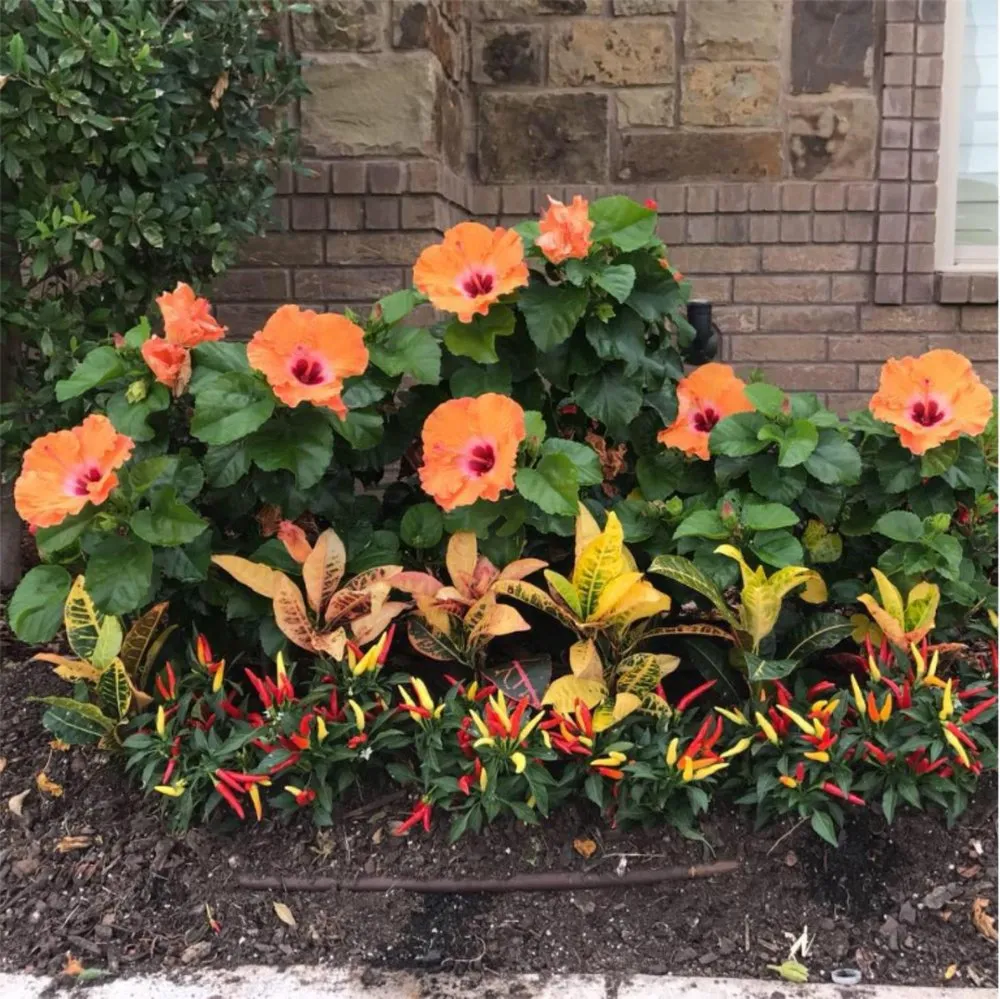 Professional residential landscaping in Keller, TX - Superior Landcare