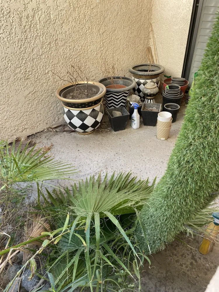 Professional outdoor landscaping for beautiful yards in Thousand Palms, CA by Superior Landcare