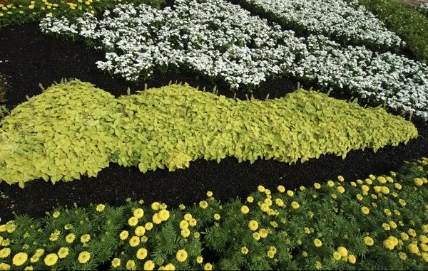 Superior Landscape & Design