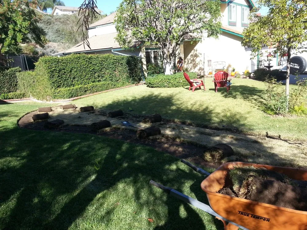 Expert lawn care service in Chino, CA by Superior Landscape & Maintenance