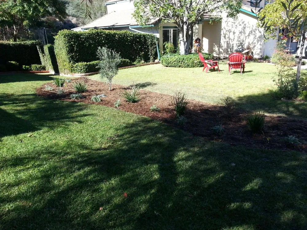 Professional lawn care service experts serving Chino, CA - Superior Landscape & Maintenance