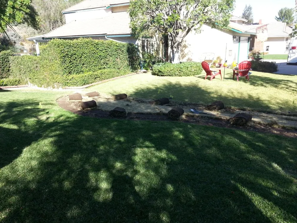 Affordable yard cleanup service in Chino, CA - Superior Landscape & Maintenance