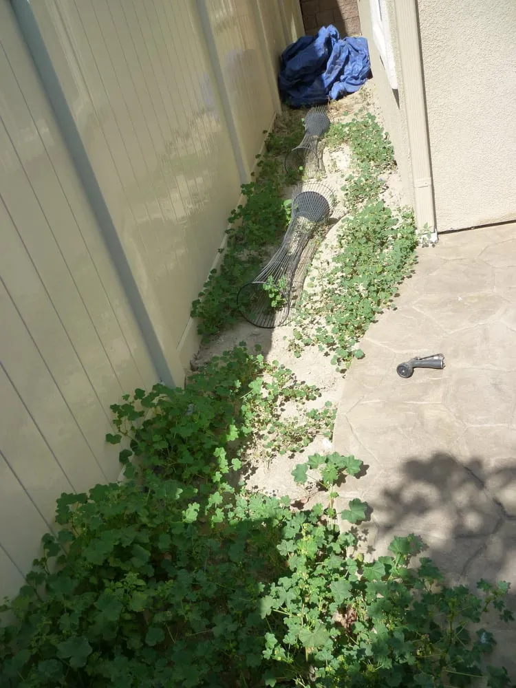 Professional landscape installation experts serving Chino, CA - Superior Landscape & Maintenance