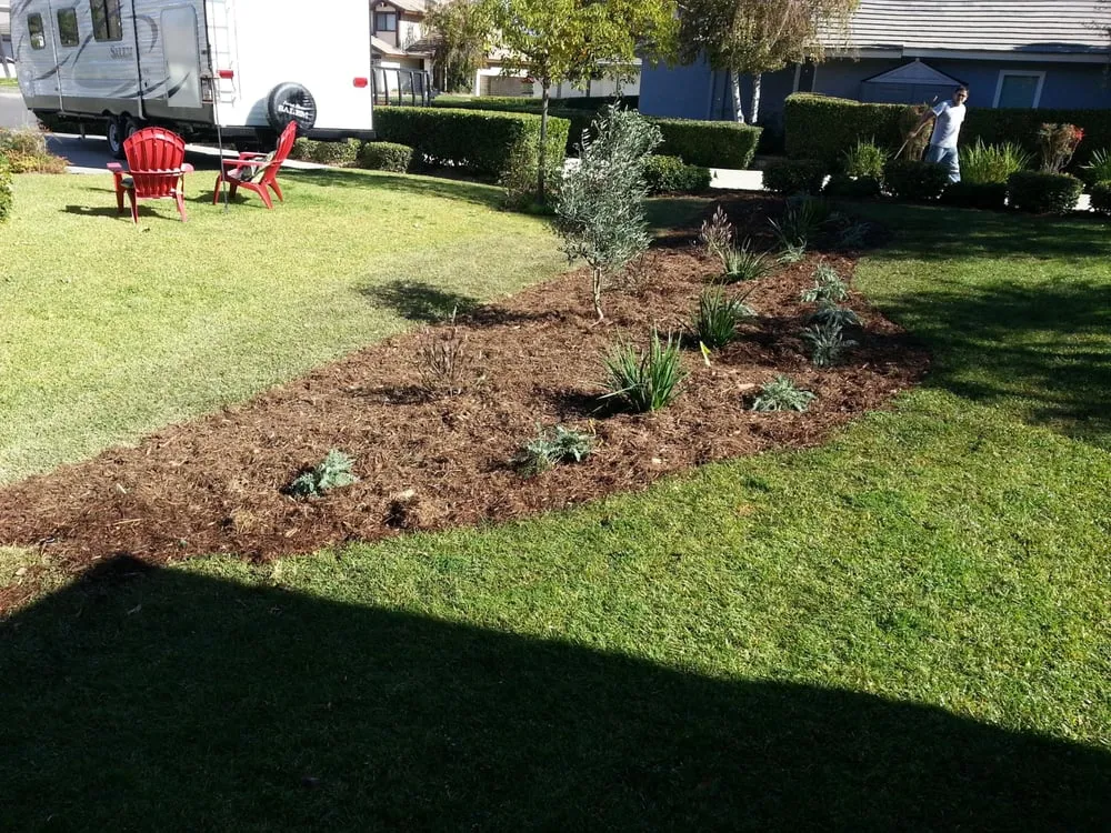 Professional garden landscaping for outdoor upgrades across Chino, CA - Superior Landscape & Maintenance
